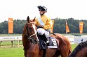 Ascot Renntag09   106